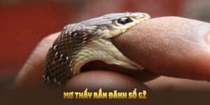 Mơ Thấy Rắn Vin777 Đánh Số Gì: Ý Nghĩa Và Cơ Hội Trúng Thưởng